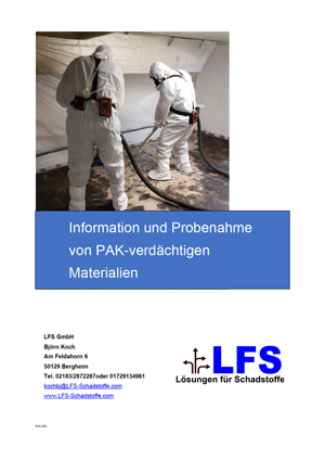 Vorschaubild Download Schadstoffinformation PAK